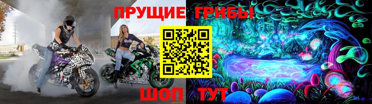 Галлюциногенные грибы прущие грибы  Вход с VPN  Псилоцибиновые грибы MAGIC MUSHROOMS  Асино 